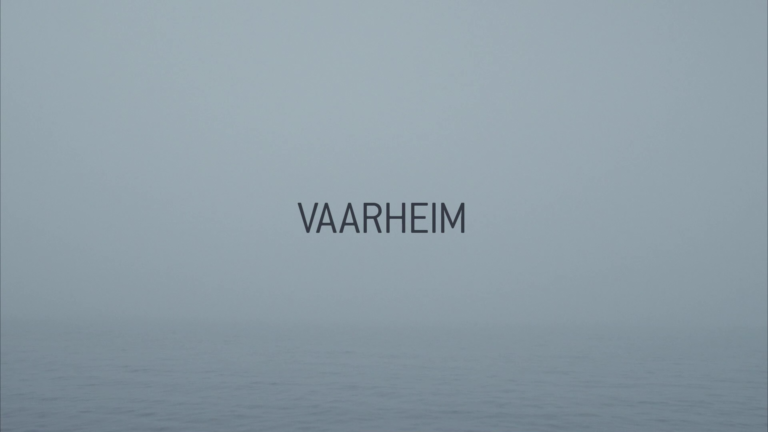 Read more about the article Vaarheim
